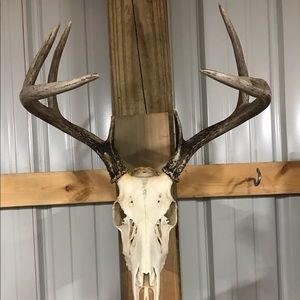 Meet your Posher, Jackson